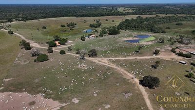 Fazenda, 95000 hectares - Foto 2
