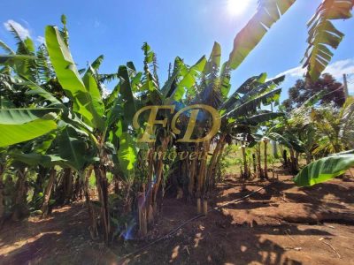 Chácara, 4 quartos, 2000 m² - Foto 5