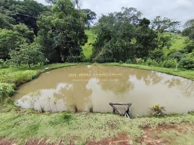 Fazenda, 3 hectares - Foto 4