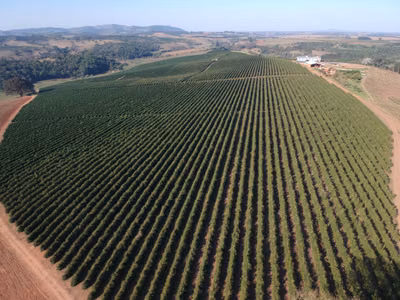 Chácara, 1 quarto, 177 hectares - Foto 1