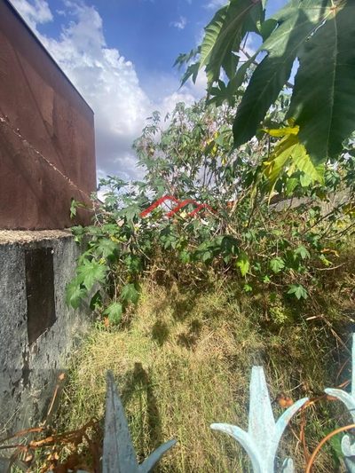 Terreno, 250 m² - Foto 4
