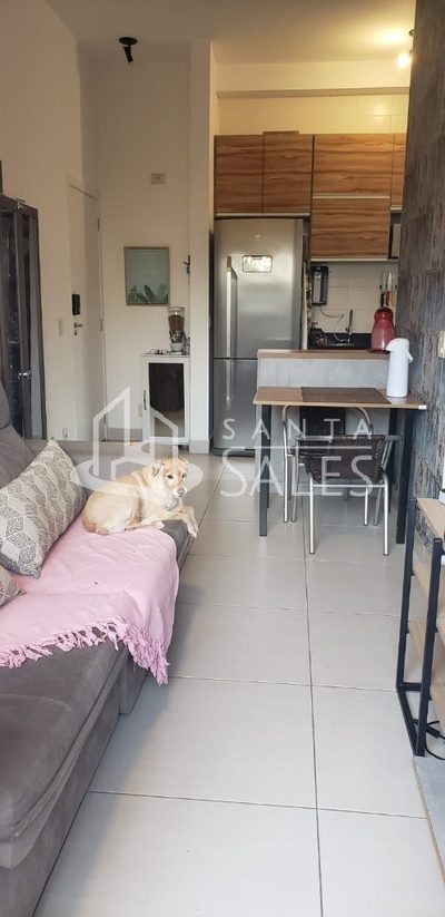 Apartamento, 3 quartos, 97 m² - Foto 1
