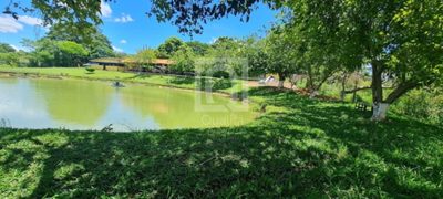 Fazenda, 3 hectares - Foto 3
