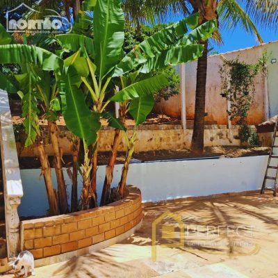Casa, 4 quartos, 377 m² - Foto 3