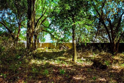 Terreno, 2189 m² - Foto 2