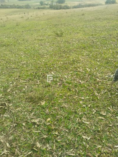 Chácara, 15 hectares - Foto 3