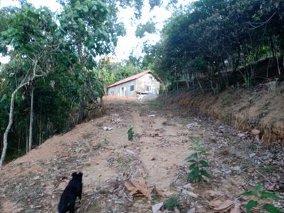 Sítio, 1 quarto, 2 hectares - Foto 3