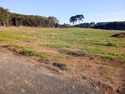Terreno, 1800 m² - Foto 5