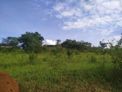 Terreno, 5000 m² - Foto 3
