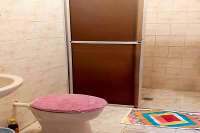 Chácara, 10 quartos, 2 hectares - Foto 4