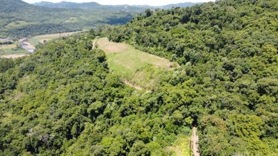 Terreno, 11 hectares - Foto 1