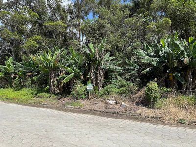 Terreno, 1650 m² - Foto 3
