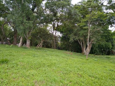 Terreno, 5000 m² - Foto 2
