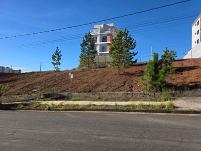 Terreno, 252 m² - Foto 3