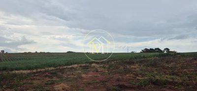 Fazenda, 48 hectares - Foto 3