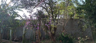 Chácara, 2 quartos - Foto 4