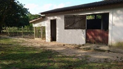 Terreno, 1365 m² - Foto 4