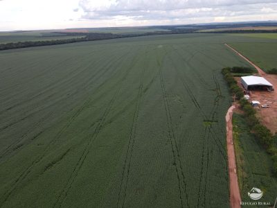 Fazenda, 858 hectares - Foto 5