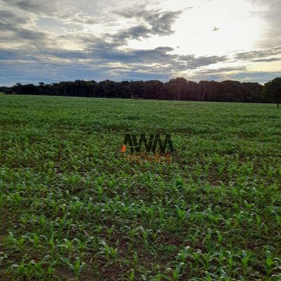 Fazenda, 39 hectares - Foto 2