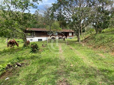 Sítio, 3 quartos, 13 hectares - Foto 3