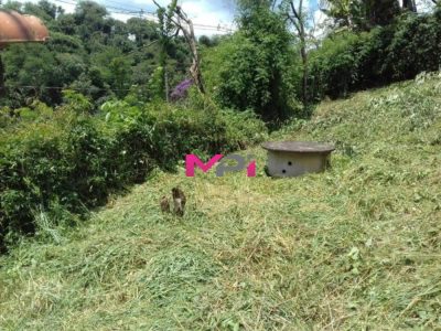 Terreno, 437 m² - Foto 1