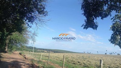 Fazenda, 102 hectares - Foto 2
