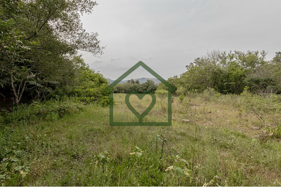 Terreno, 13191 m² - Foto 5