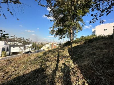 Terreno, 479 m² - Foto 4