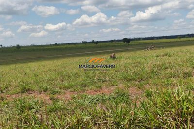 Fazenda, 3103 hectares - Foto 4