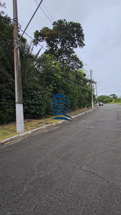 Terreno, 9000 m² - Foto 5