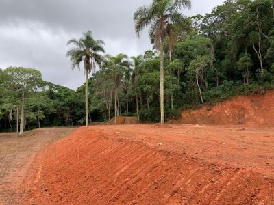 Terreno, 2 hectares - Foto 5