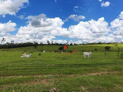 Terreno, 20 hectares - Foto 1