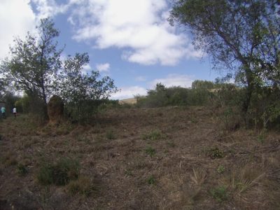 Fazenda, 45 hectares - Foto 5