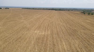 Fazenda, 2005 hectares - Foto 5