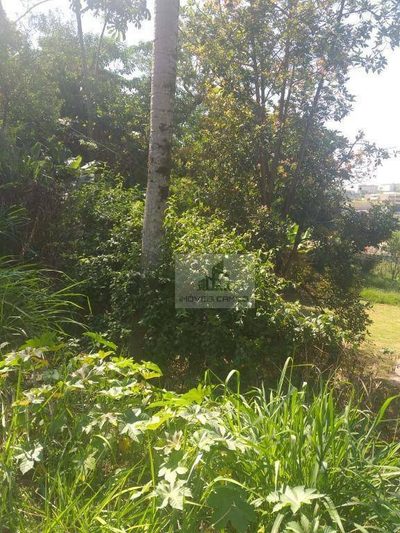 Terreno, 3225 m² - Foto 5