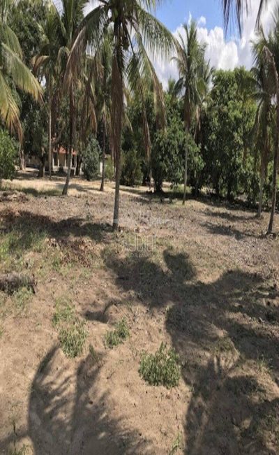 Terreno, 2 hectares - Foto 2
