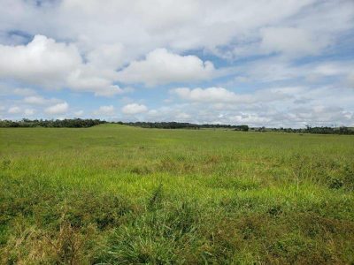 Fazenda - Foto 5