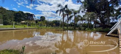 Sítio, 5 hectares - Foto 1