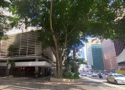 Sala-Conjunto, 347 m² - Foto 2