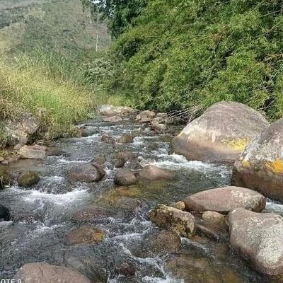 Sítio, 10000 m² - Foto 2