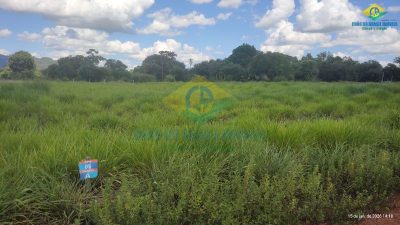Terreno, 1006 m² - Foto 4