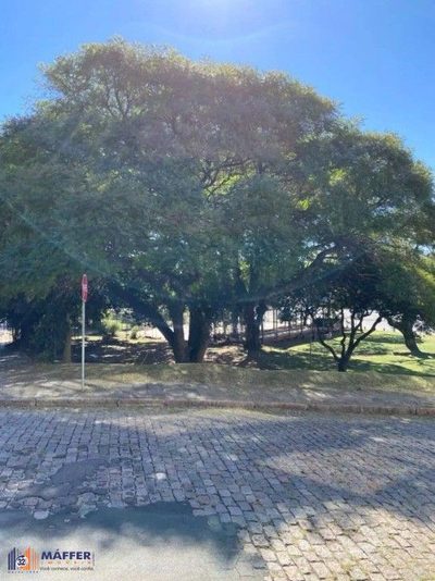 Apartamento, 3 quartos, 104 m² - Foto 4
