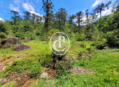Fazenda, 348 hectares - Foto 3