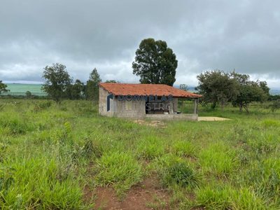 Sítio, 2 quartos, 20300 m² - Foto 5