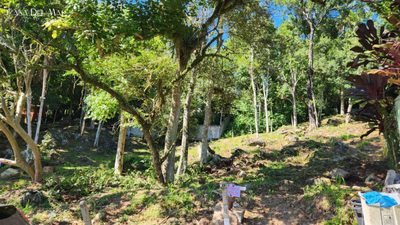 Terreno, 900 m² - Foto 5