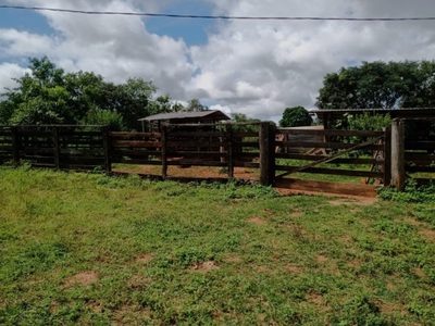 Fazenda, 2350 hectares - Foto 4