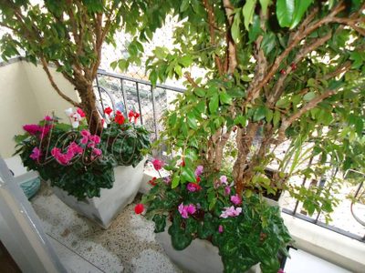 Apartamento, 2 quartos, 154 m² - Foto 5