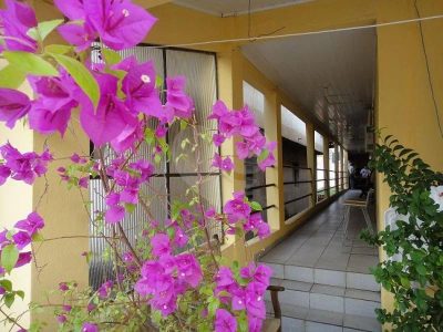 Casa, 3 quartos, 240 m² - Foto 4