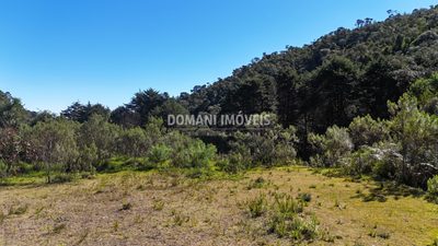 Terreno - Foto 2