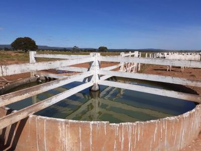 Fazenda, 5170 m² - Foto 5